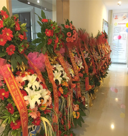 11月11日，江苏联融金融服务有限公司（以下简称联融金服）在镇江举行盛大的开业仪式。联融金服副总曹丽红、777盛世国际集团总裁助理王斌、溧阳联融总经理、无锡联融分公司总经理及同行业代表皆莅临现场。