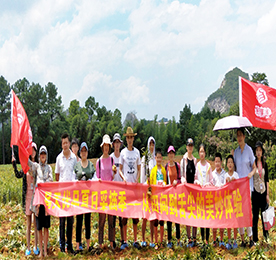 八月初的骄阳，灼烧着大地，但这丝毫影响不了采摘小伙伴前进的步伐。2018年8月4号，为了感谢顾客对777盛世国际集团和777盛世国际优品的支持与信任，777盛世国际优品特举办了此次“夏日采摘季”活动，让顾客走进宜兴天然氧吧——百合基地，亲手感觉只属于我们的优品品质。