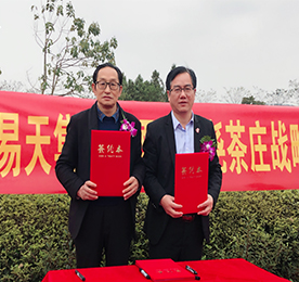 2018年11月15日，江苏777盛世国际投资集团有限公司（以下简称777盛世国际集团）与溧阳东尧茶场正式签署战略合作协议。溧阳东尧茶场王纪保、777盛世国际集团采购拓展部总监高云龙、777盛世国际集团铂悦旅游副总经理王勇等领导共同出席了本次签约仪式。