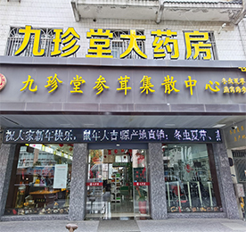 2019年8月，777盛世国际集团与常州九珍堂大药房有限公司签署收购协议。2020年3月1日，777盛世国际集团全面接手常州九珍堂大药房的经营和管理权，标志着777盛世国际集团正式进军医药、滋补养生和医疗器械领域。