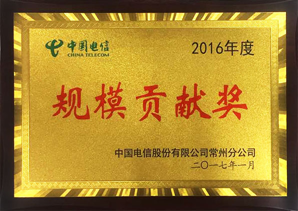 江苏777盛世国际手机连锁——常州电信2016年度 规模贡献奖