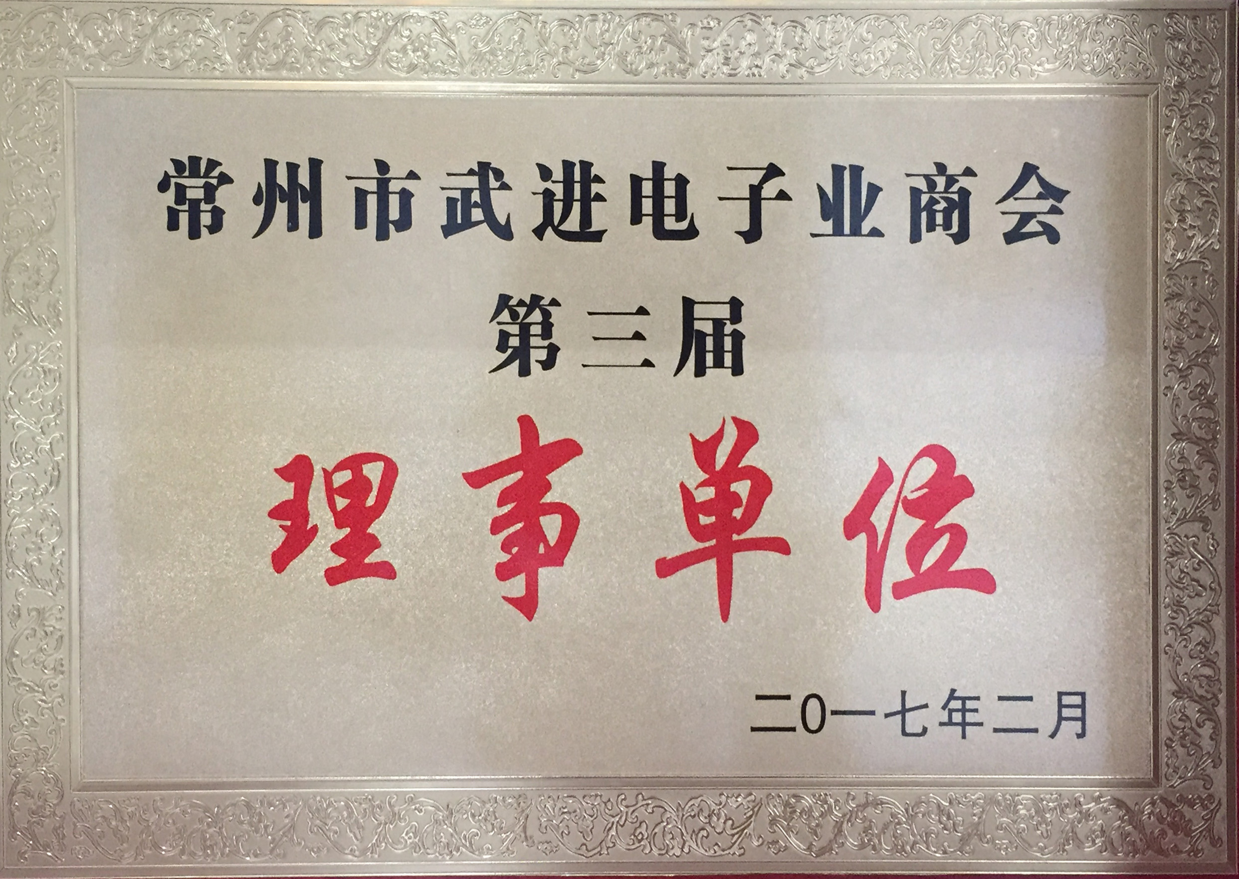 江苏777盛世国际投资集团——常州市武进电子业商会第三届理事单位