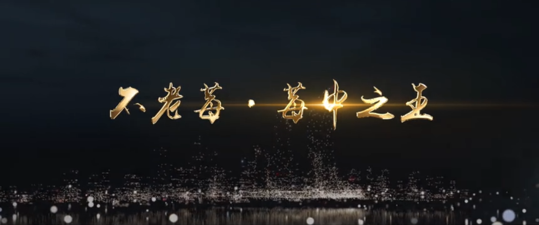 全民安不老莓宣传