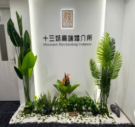 9月21日，深圳市十三妹高端婚介服务有限公司在福田CBD轻盈启幕。这里没有传统的商务拘谨，更像是一场老友的聚会。花艺茶香间，城市精英们轻声畅谈，沙龙区围坐分享，每一处细节都透着温暖与共鸣的气息。